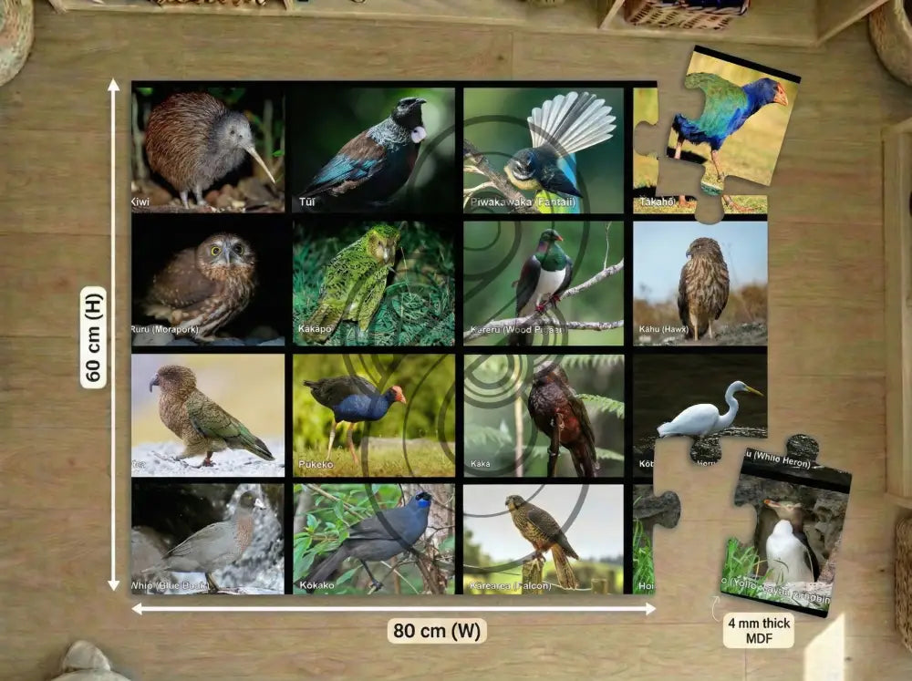 Native Birds: Floor Puzzle