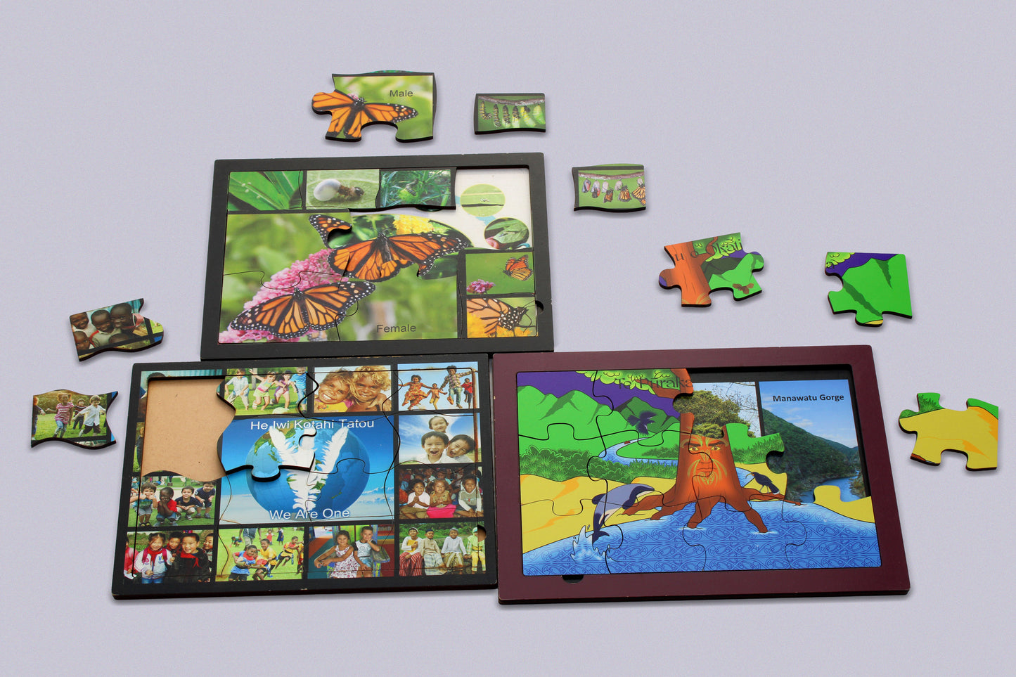 Image Tray Puzzles