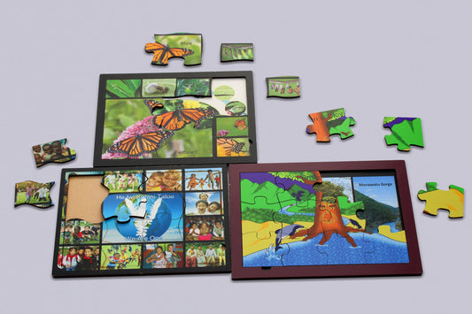 Image Tray Puzzles
