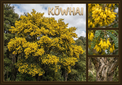 Kowhai Tree - Single and Image Tray A4 Puzzle