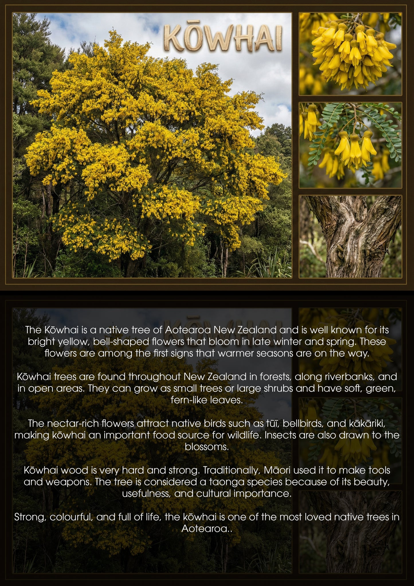 Kowhai Tree - Single and Image Tray A4 Puzzle