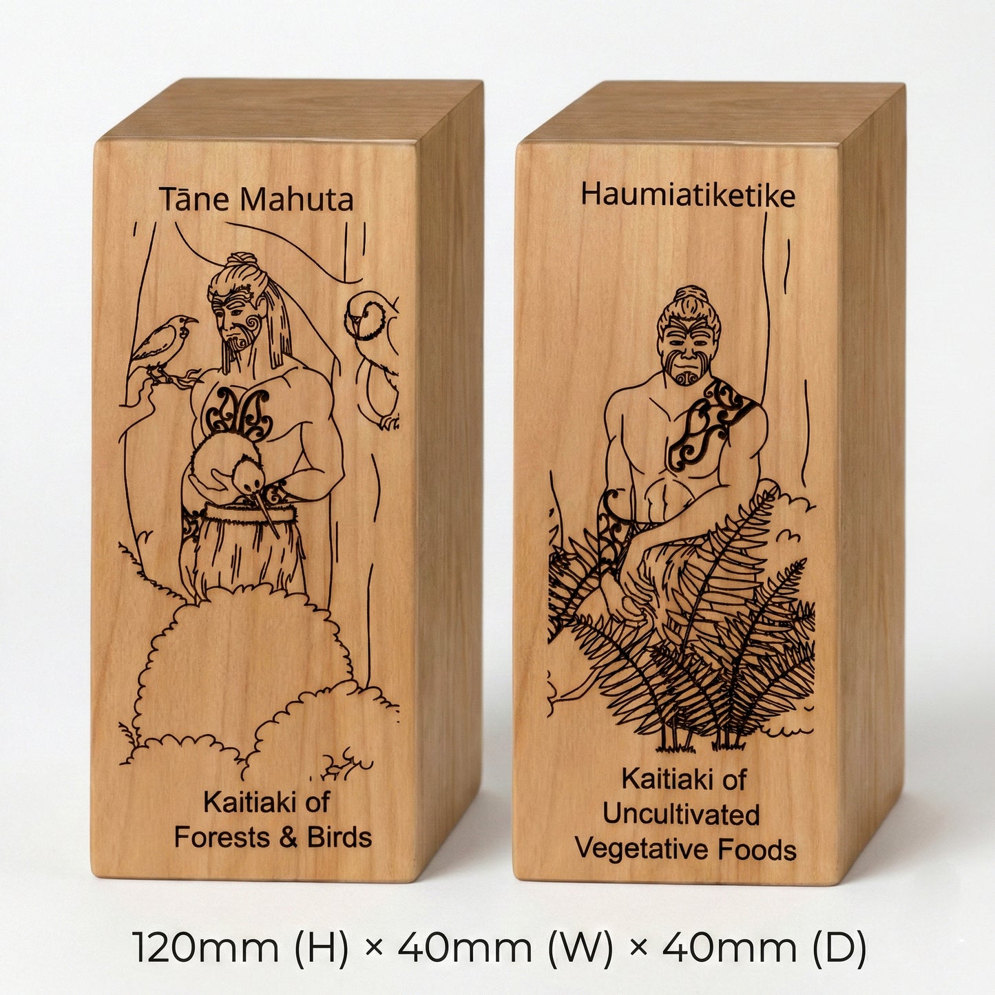 Kaitiaki Tāne Blocks – A Storytelling Taonga for Tamariki