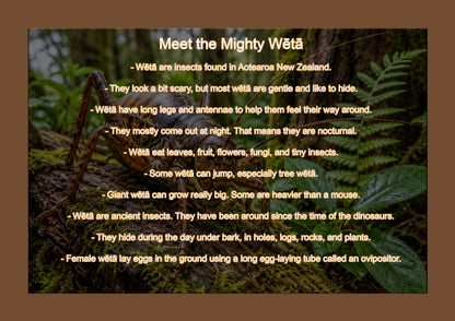 Wētā : Single sided and A4 Image Tray