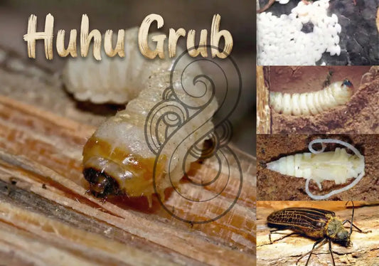 Huhu Grub - Poster