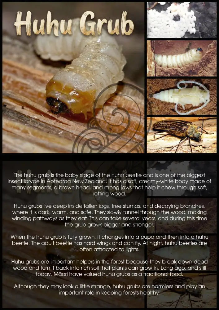 Huhu Grub - Single and Image Tray A4 Puzzle