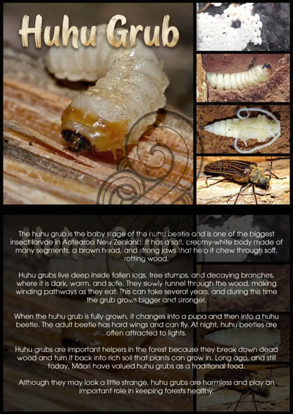 Huhu Grub - Single and Image Tray A4 Puzzle