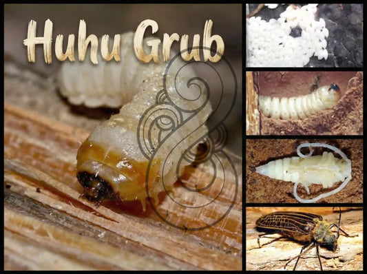 Huhu Grub - Single and Image Tray A4 Puzzle