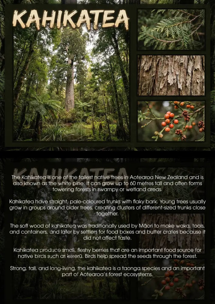 Kahikate Tree - Single and Image Tray A4 Puzzle