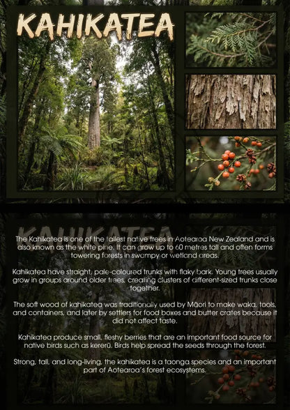 Kahikate Tree - Single and Image Tray A4 Puzzle