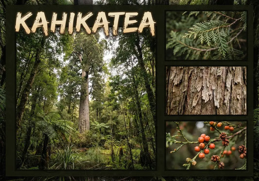 Kahikate Tree - Single and Image Tray A4 Puzzle