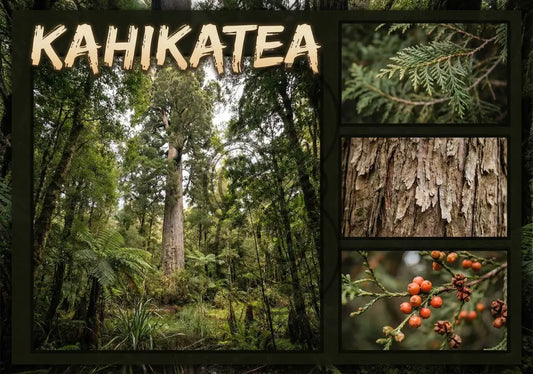 Kahikate Tree - Single and Image Tray A4 Puzzle