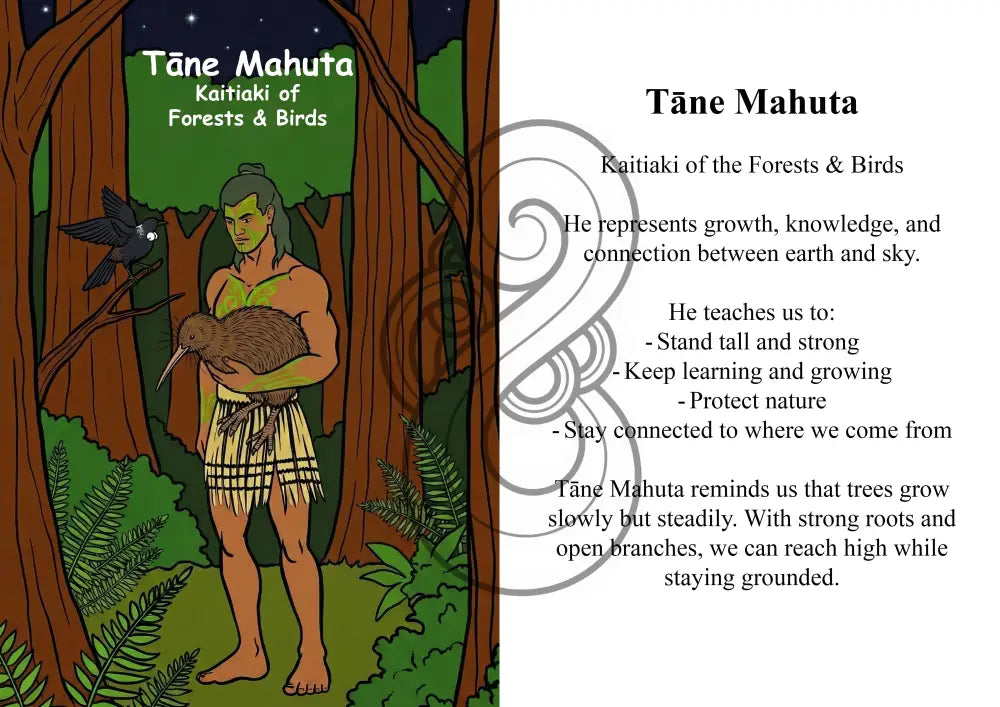 Kaitiaki Tāne Image/ Story Boards A4 for Younger Tamariki - Tāne Mahuta