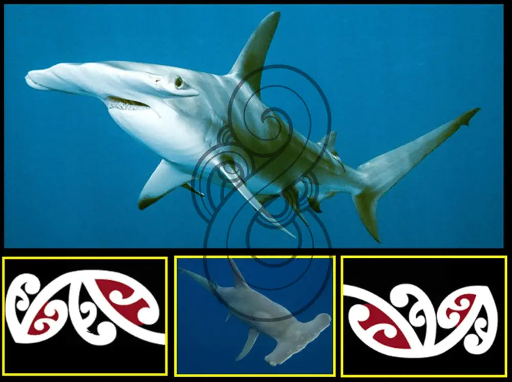 Kowhai Mangōpare (Shark) - Poster