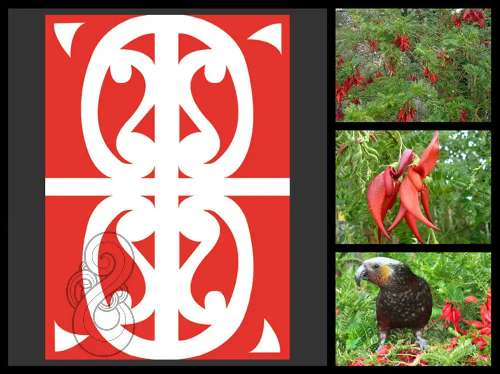 Kowhai Ngutu Kākā