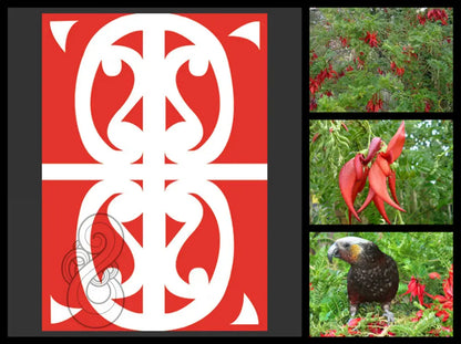 Kowhai Ngutu Kākā