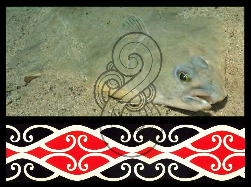 Kowhai Pātiki