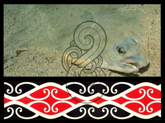 Kowhai Pātiki