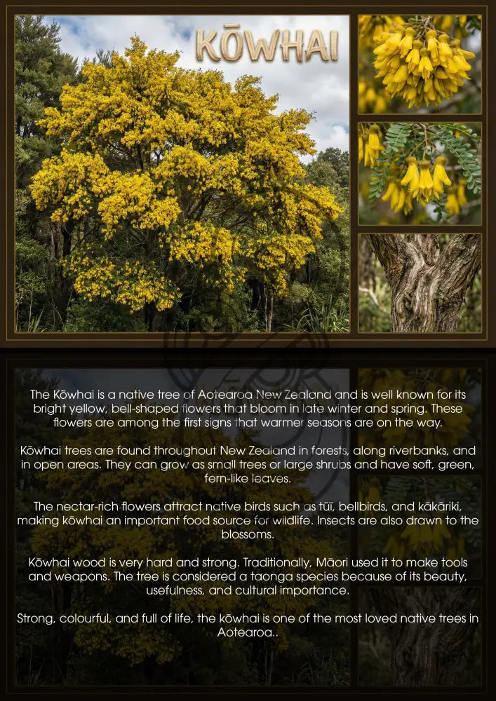 Kowhai Tree - Single and Image Tray A4 Puzzle