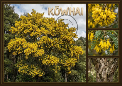 Kowhai Tree - Single and Image Tray A4 Puzzle