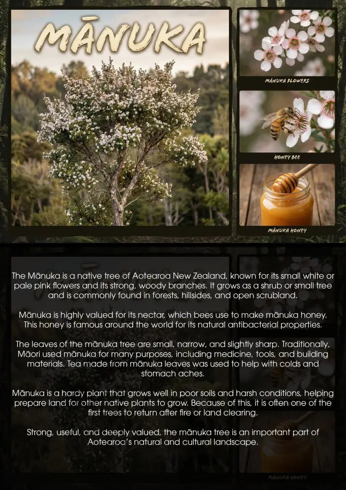 Mānuka Tree - Single and Image Tray A4 Puzzle