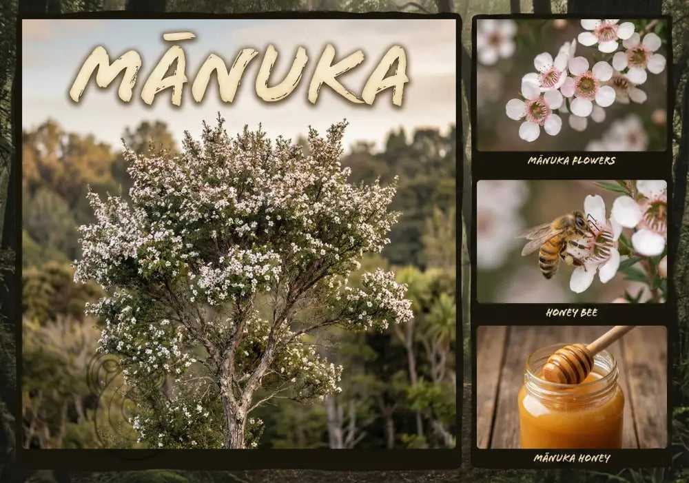 Mānuka Tree - Single and Image Tray A4 Puzzle