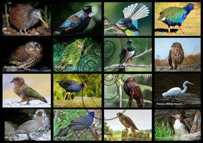 Native Birds: Floor Puzzle