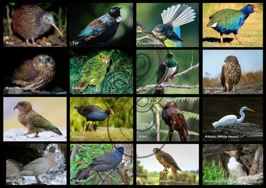 Native Birds: Floor Puzzle