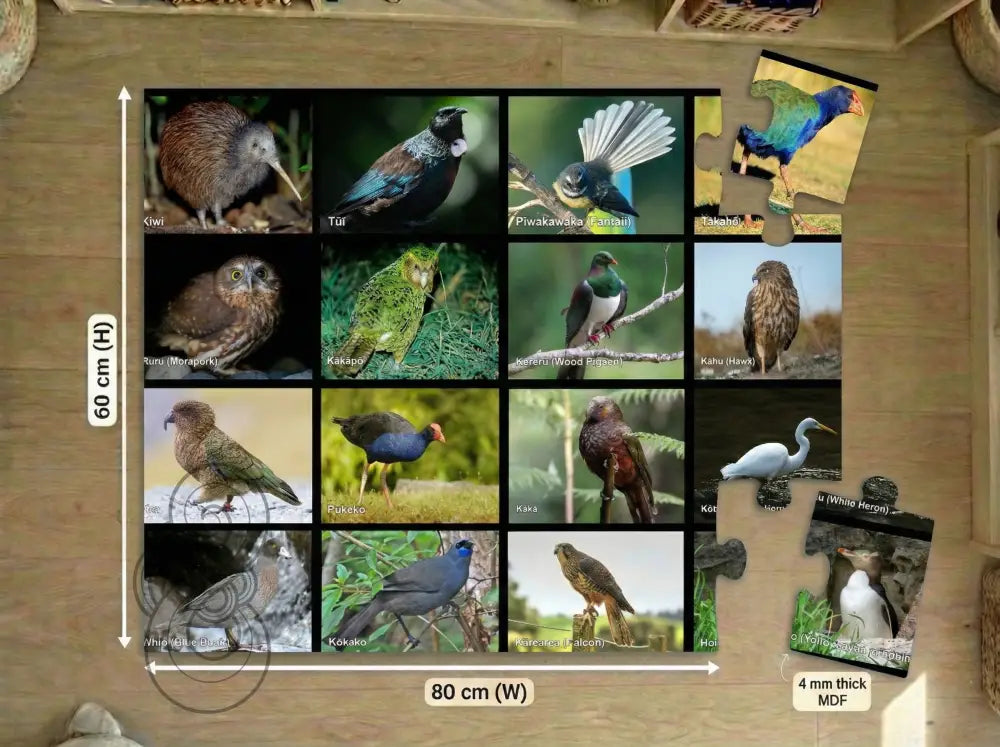 Native Birds: Floor Puzzle