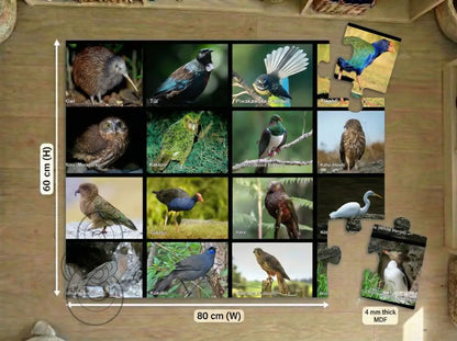 Native Birds: Floor Puzzle