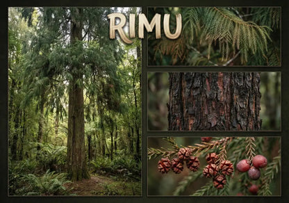 Rimu - Single and Image Tray A4 Puzzle