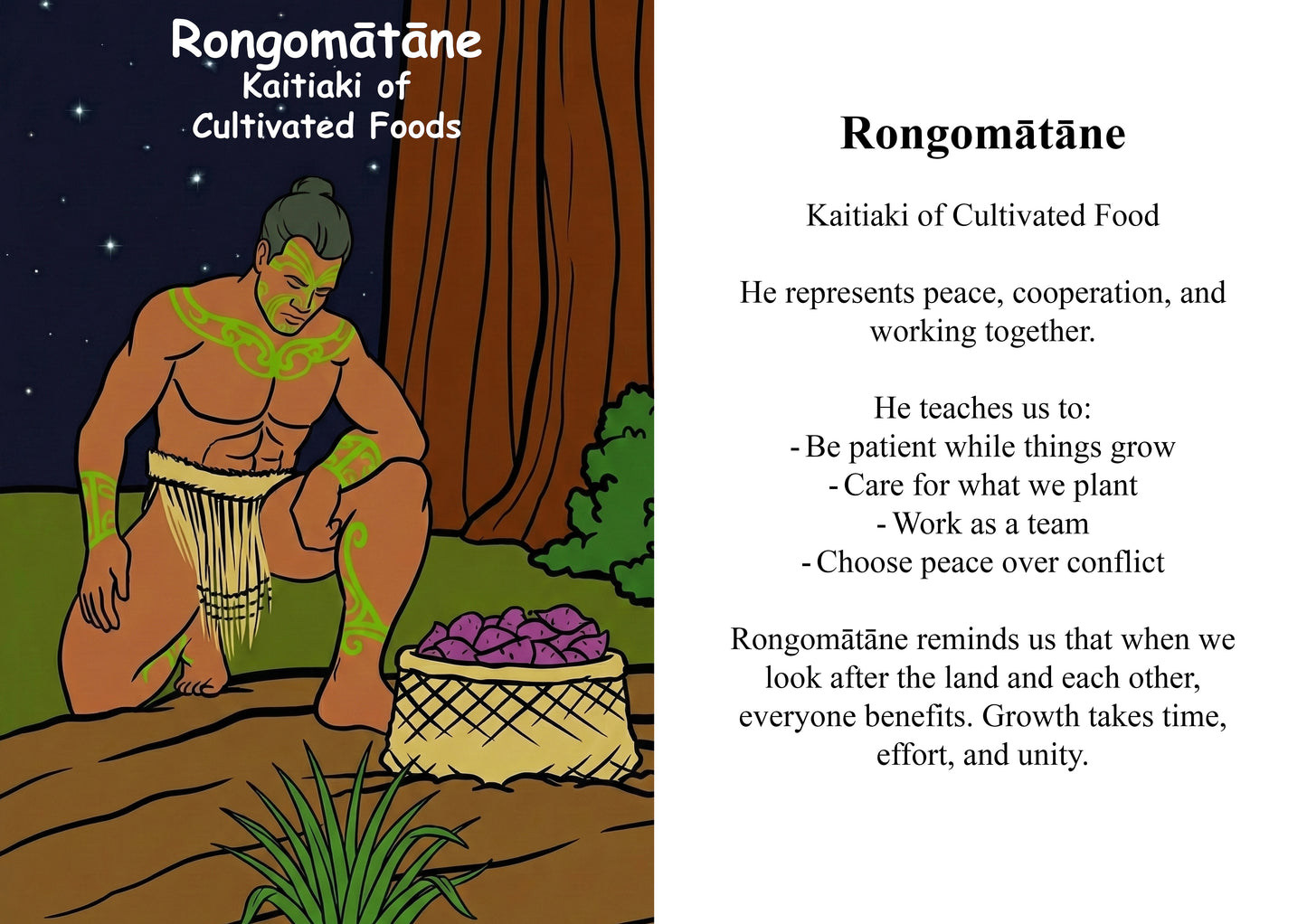 Kaitiaki Tāne Image/ Story Boards A4 for Younger Tamariki