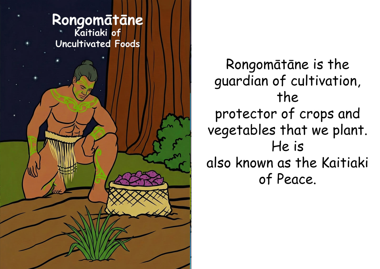 Kaitiaki Tāne Image/ Story Boards A4 for Younger Tamariki