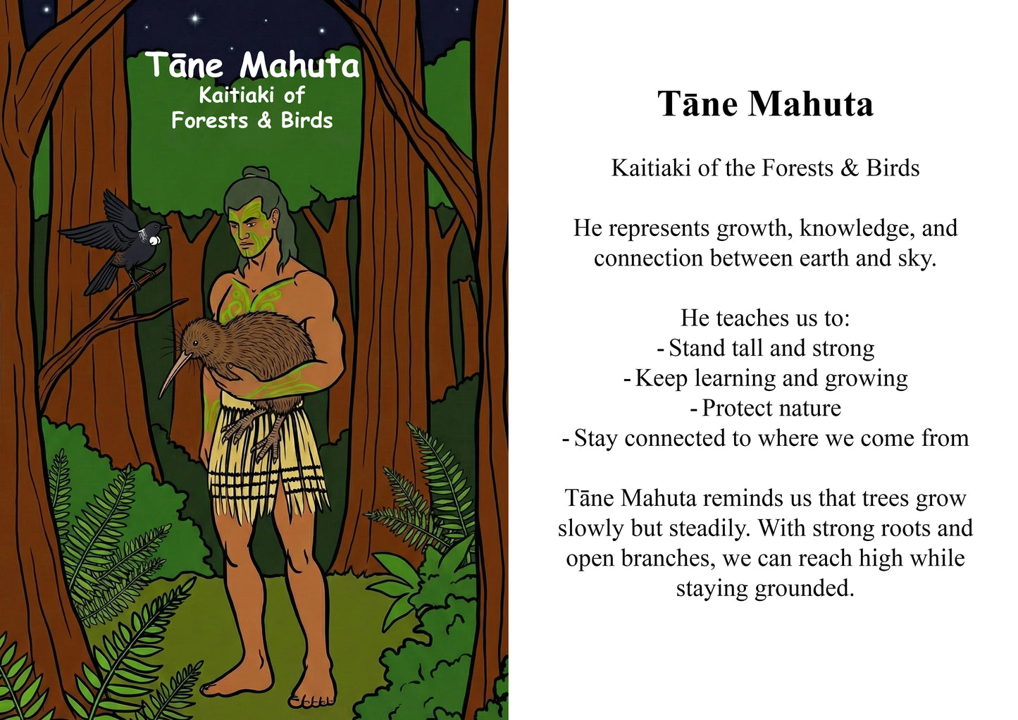 Kaitiaki Tāne Image/ Story Boards A4 for Younger Tamariki