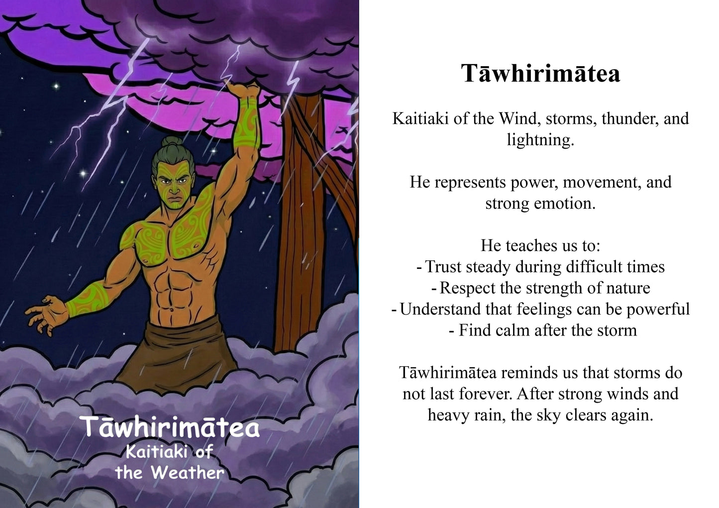 Kaitiaki Tāne Image/ Story Boards A4 for Younger Tamariki