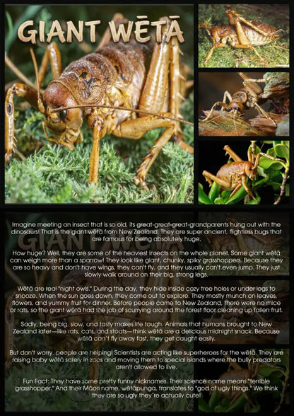 The Giant Wētā - Single and Image Tray A4 Puzzle