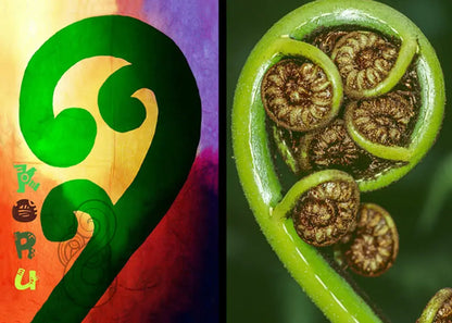 The Koru - Stylised vs Real
