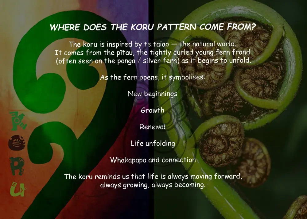 The Koru - Stylised vs Real