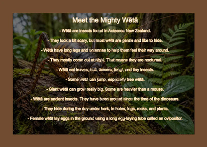 Wētā: Single sided and A4 Image Tray